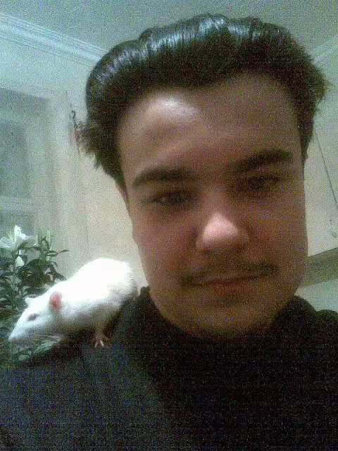 Алтимус