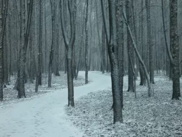 Перевал Хардина