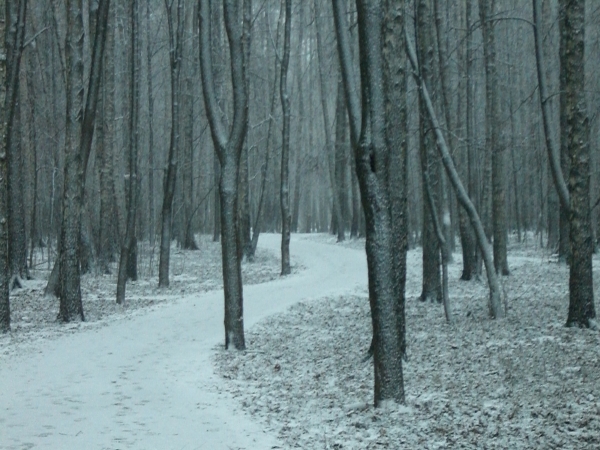 Перевал Хардина