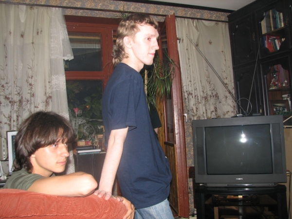 Шок, Корган