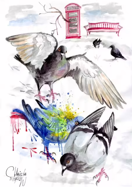 Pigeons