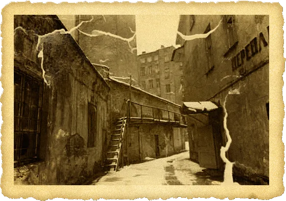 тарант орки бойл