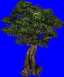 Arcanum